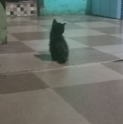 unow_7's profile picture. Raden Sofyan Amri
https://t.co/JYeNnkvfdD