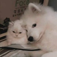 ชอชอ🐰🍼 (@zls_ppat) 's Twitter Profile