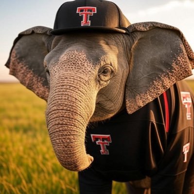 @ttu_elephant