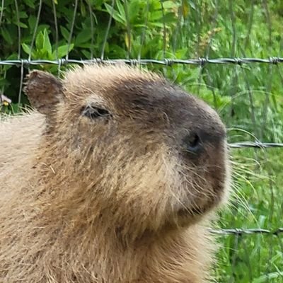 ・刹那・さんのプロフィール画像