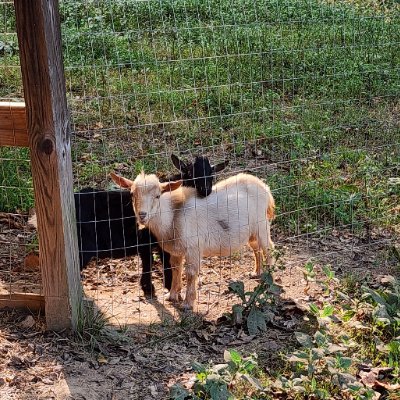 BreezyWillowFrm's profile picture. 