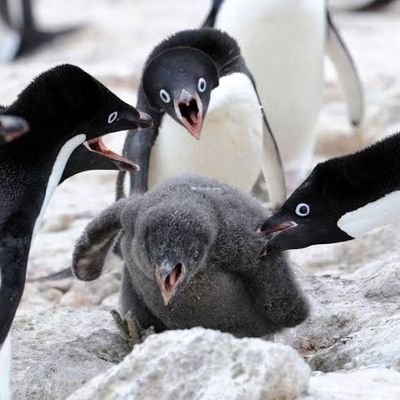 OkwxBgXqMIwGONI's profile picture. ほぼいいねリポスト
時々引用します