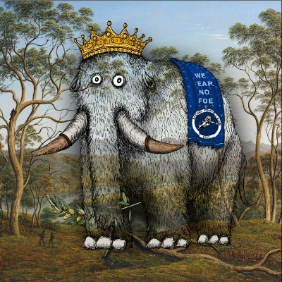 FENGYAOBO's profile picture. Feel life  with  heart