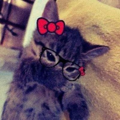 faizf0681's profile picture. .