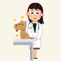 ぷにこ🫧 (@pika_pikachu_2) 's Twitter Profile Photo ぷにこ🫧 (@pika_pikachu_2) 's Twitter Profile Photo