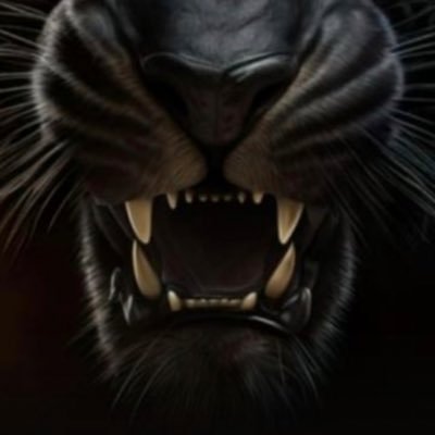 ShubertC8's profile picture. 