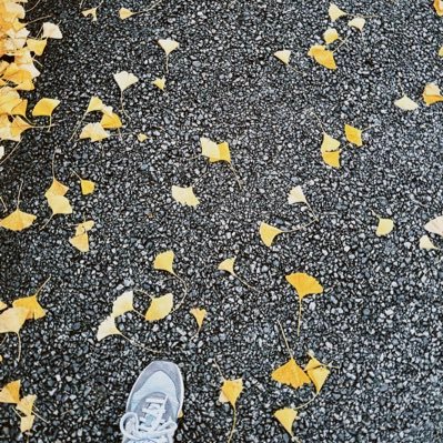 nteareobe's profile picture. 