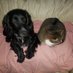 N Ottery (@otteryn19) Twitter profile photo N Ottery (@otteryn19) Twitter profile photo