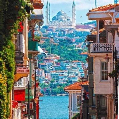 Serdar99282's profile picture. 