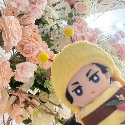 お取引垢兼日常¦ 20↑社会人🚺 ¦ HQ 赤葦 山口¦ BSD しぐま¦ mirm オペラ ¦ crsm 💚💛🩵¦ hpmi 盧笙 一二三 ￤ turbへし切長谷部 江戸三作 ￤安藤夢叶 阪本奨悟 松島勇之介￤同担拒否ありません◎