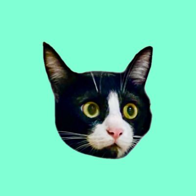 夫婦ふたり+🐈⬛🐈🐈/無言フォロー&FF外から失礼します/ 香港台湾沼一年生/夫婦旅とひとり旅大好き/旅は基本食いだおれ/NFM🐟/相撲/新日👿イビさん/トワウォ🐯哥
