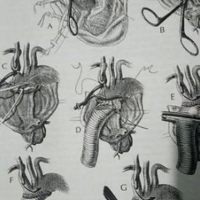 daxxabsatyam's profile picture. forensics