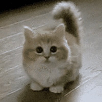 net_tech__'s profile picture. Programming stuff