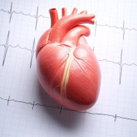 Cardio Med (@cardioeducator) 's Twitter Profile