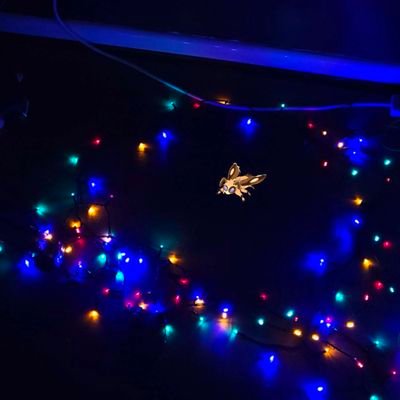 @loafthemoth
