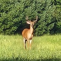 L3 (@leonfrailey) 's Twitter Profile