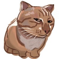 Meow_Zil (@meowzilliqa) 's Twitter Profile