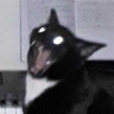 theeconsigliere's profile picture. —private fandom account