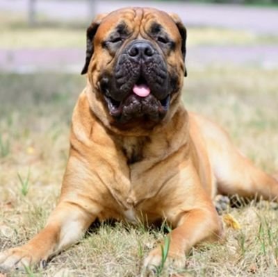 palaboy990105's profile picture. 