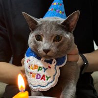 野条 大樹lDaiki Nojo (@d_nojo_) 's Twitter Profile