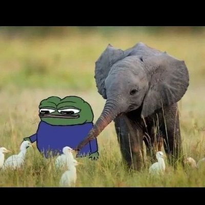 xDevG19's profile picture. Ok