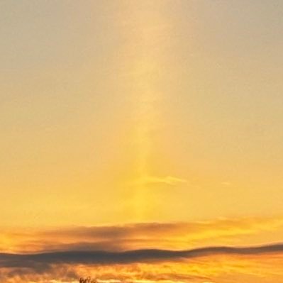 majavaboss's profile picture. Maths, numbers, technology