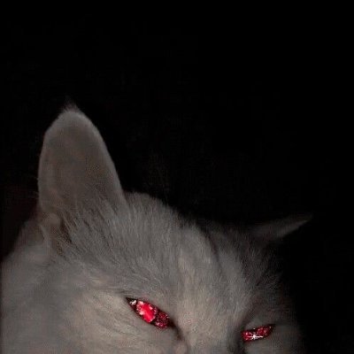 souzaotw's profile picture. 