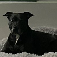 Doogz (@64doogz) 's Twitter Profile Photo Doogz (@64doogz) 's Twitter Profile Photo