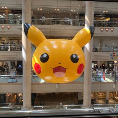 mshkNYU's profile picture. 