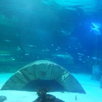 musti19 (@musti196732642) Twitter profile photo