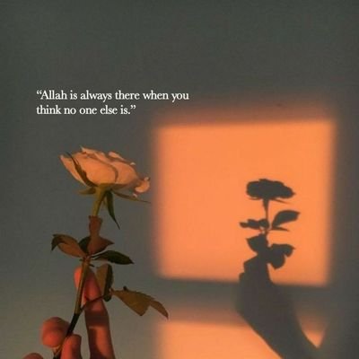 Hey_senorita__'s profile picture. 🇵🇸🤍