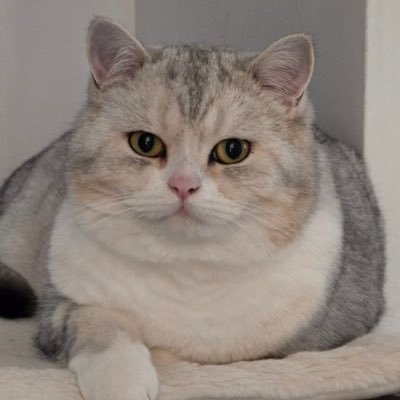 hai26070099's profile picture. crypto, money and crazy @Data ADD