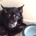 Jan Sanders - @JasandersJan - Twitter