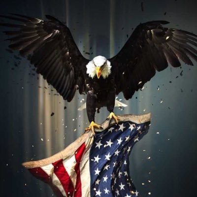 Unapologetic Christian.“Evil is powerless if the good R unafraid”—R.R; 2 Chron 7:14❤️🇺🇸