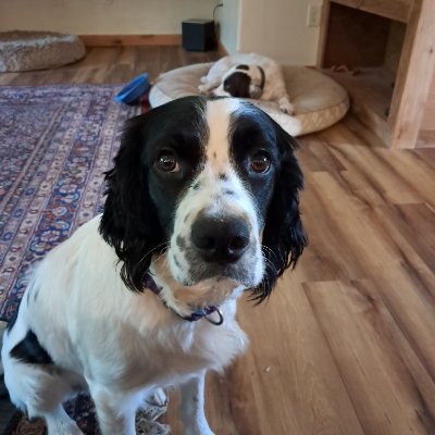 jncsp8's profile picture. 