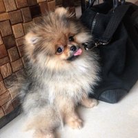 Bubblebennn ੈ♡⸝⸝ (@bubblebennn) 's Twitter Profile