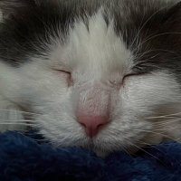 Hunter letwink (@truckerstuff8) 's Twitter Profile