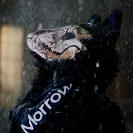 Morrowさんのプロフィール画像