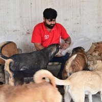 Vidit Sharma 🇮🇳 (@theviditsharma) 's Twitter Profile Photo Vidit Sharma 🇮🇳 (@theviditsharma) 's Twitter Profile Photo