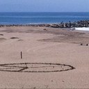 Patty Cross - @polomom - Twitter