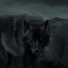 erenpb08's profile picture. 