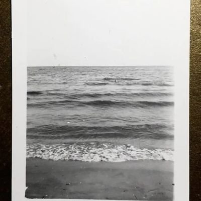 dnlbdn237's profile picture. Mauvais français,  j'emmerde la République et je ne suis pas Charlie.
 « La fin de l'Histoire, c'est l'avènement des crétins.» (Dominique de Roux)