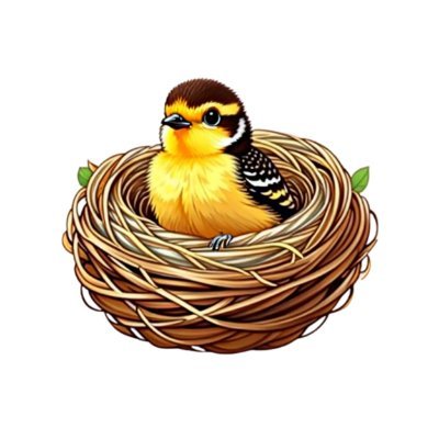 #airdrop #nft #sol #eth #easymoney #testnet
Tanımazsan seversin...