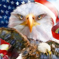Donna Groves (@donnagroves9285) 's Twitter Profile Photo Donna Groves (@donnagroves9285) 's Twitter Profile Photo
