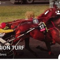 passion turf (@varennes445965) 's Twitter Profile