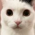 proton (@ryanmig74256004) Twitter profile photo proton (@ryanmig74256004) Twitter profile photo