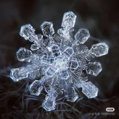 JLilico97's profile picture. 