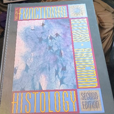 JordanSmothers1's profile picture. The search begins.