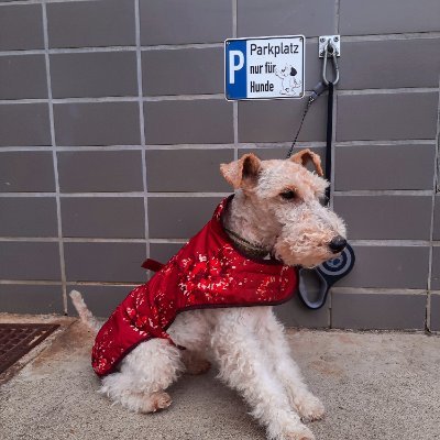 Brigitte_Dort's profile picture. https://t.co/XmrhLWtk4A