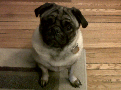 kanikitty74's profile picture. 